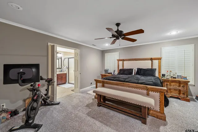 a bedroom with furniture a ceiling fan and a rug