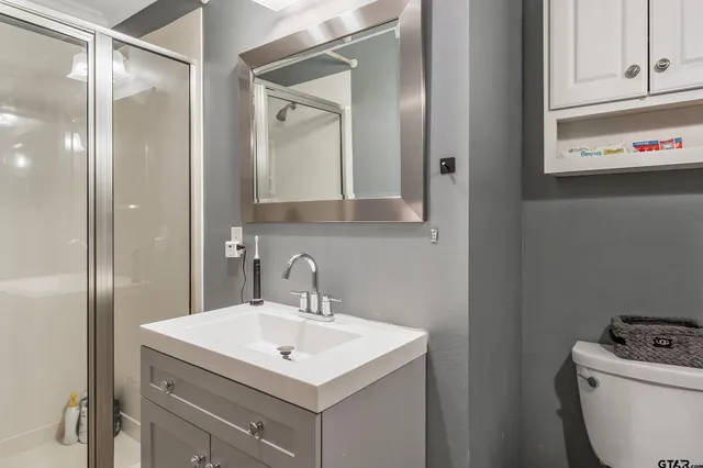 a bathroom with a sink toilet and mirror