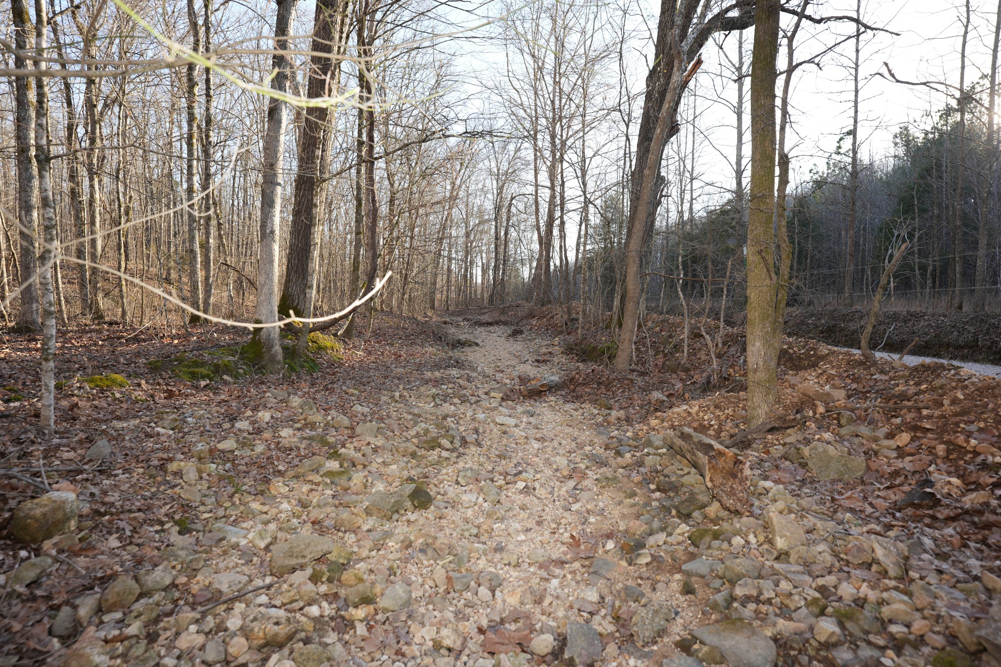3 John Ross Hollow Road Erin, TN 37061 - Photo 13 of 31
