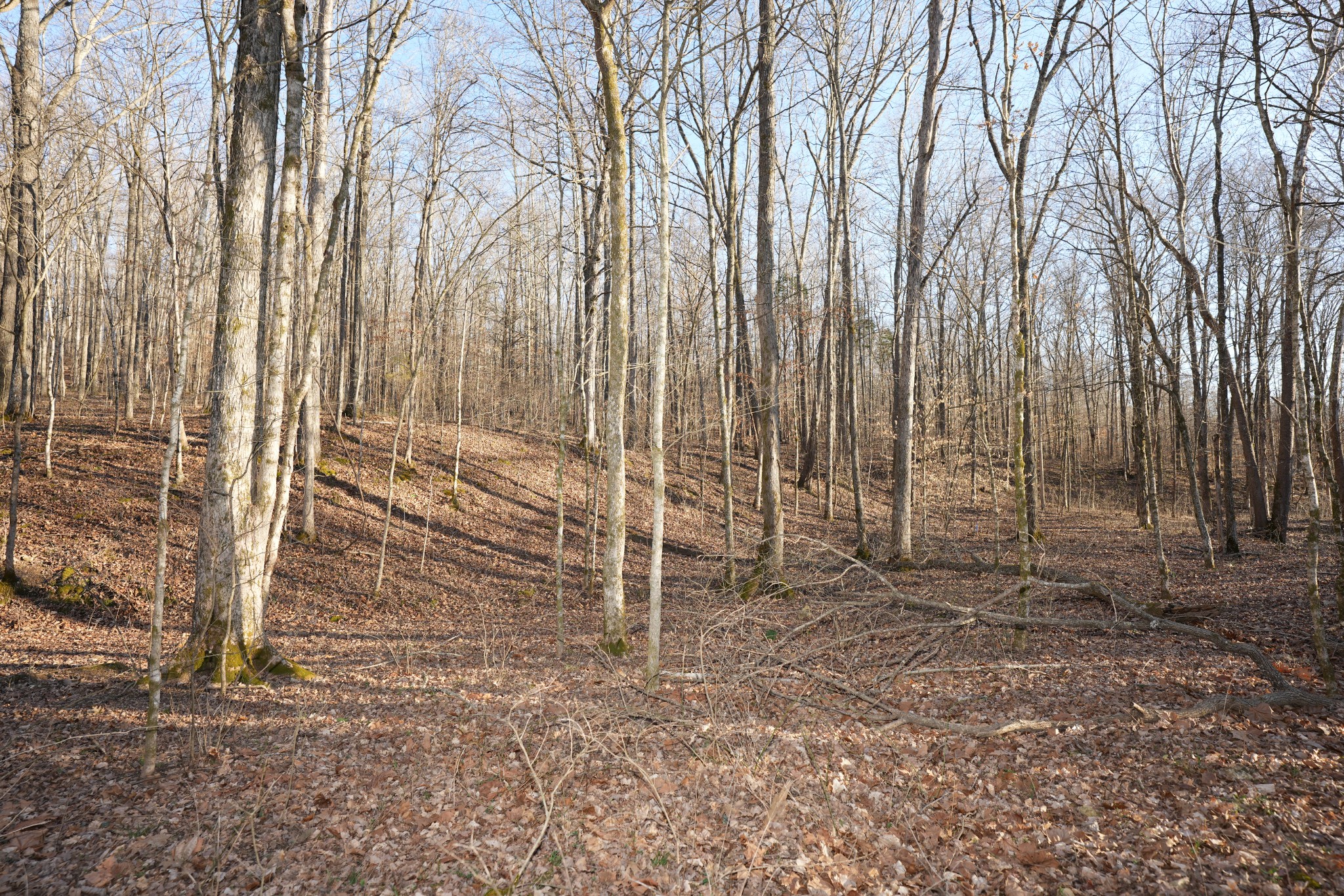 3 John Ross Hollow Road Erin, TN 37061 - Photo 14 of 31