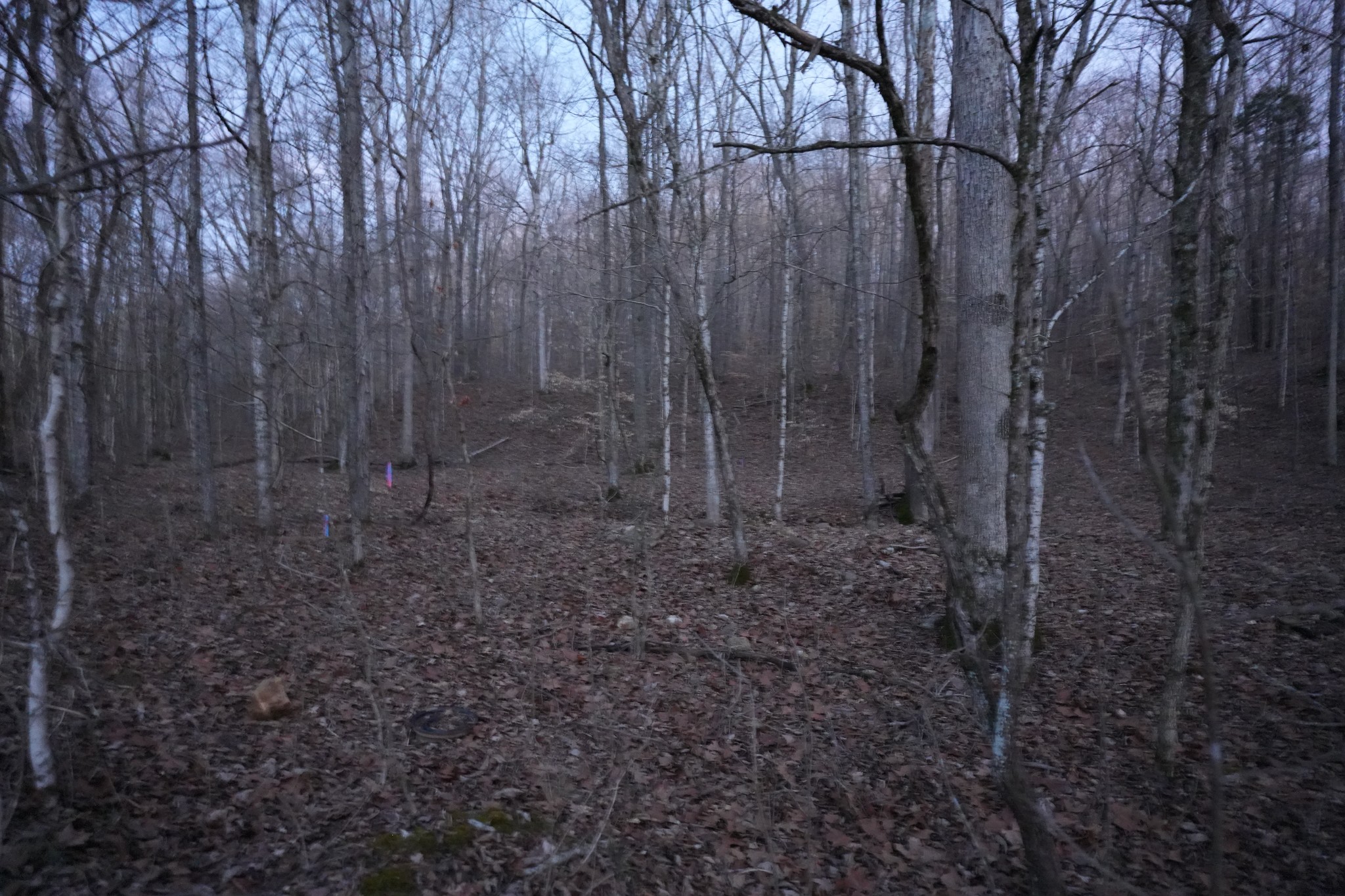3 John Ross Hollow Road Erin, TN 37061 - Photo 16 of 31