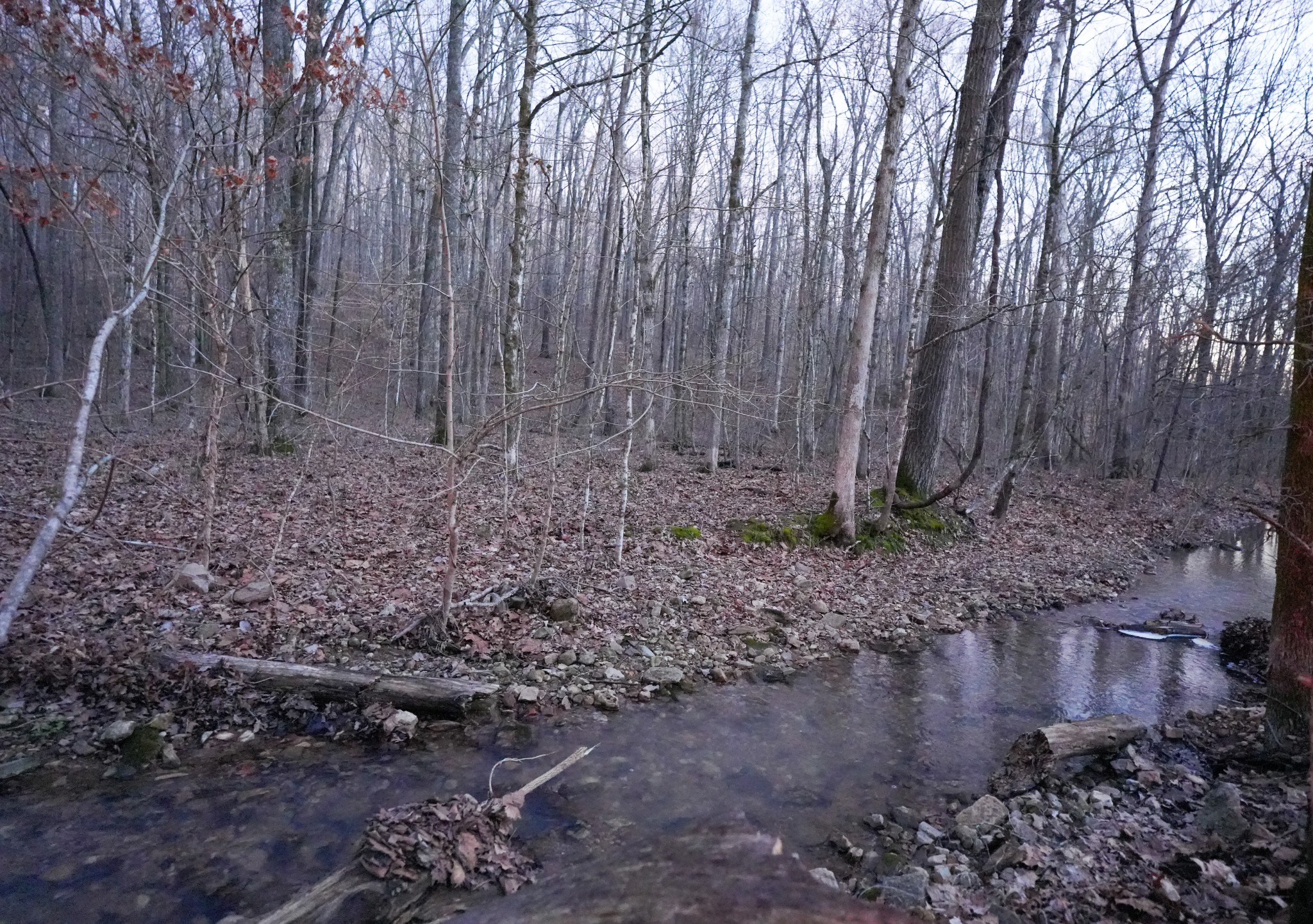 3 John Ross Hollow Road Erin, TN 37061 - Photo 19 of 31