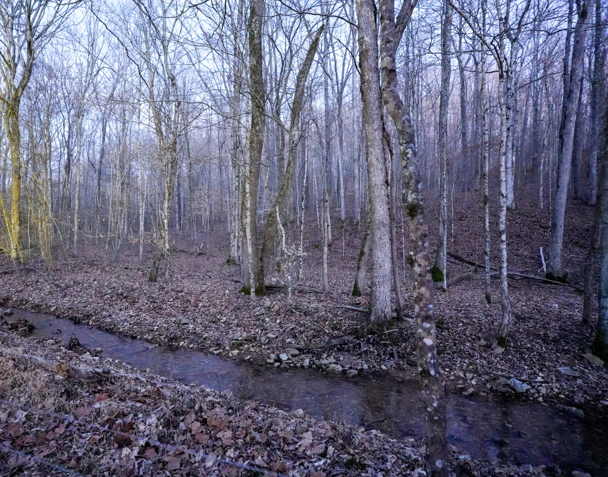 3 John Ross Hollow Road Erin, TN 37061 - Photo 2 of 31