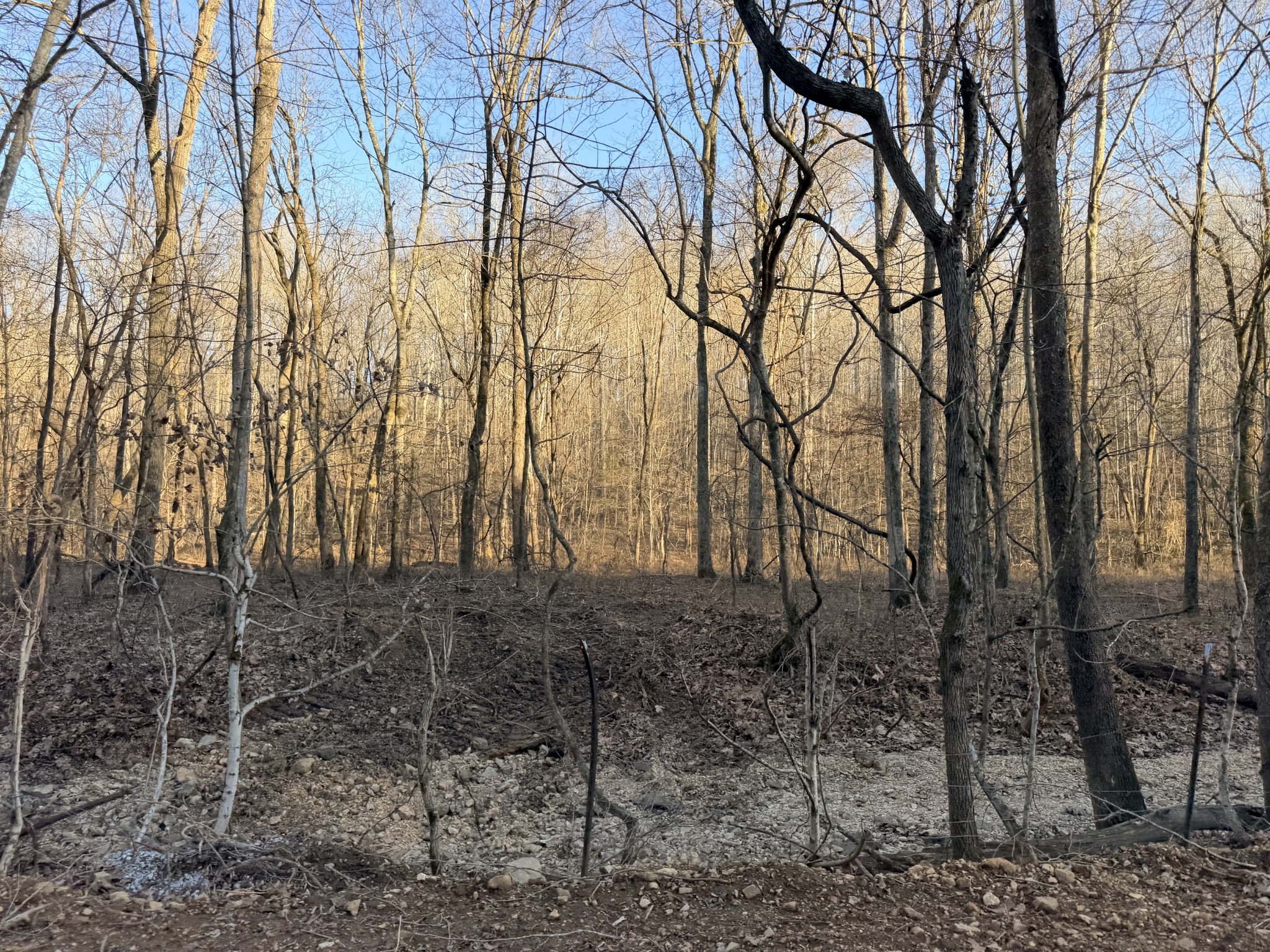 3 John Ross Hollow Road Erin, TN 37061 - Photo 24 of 31