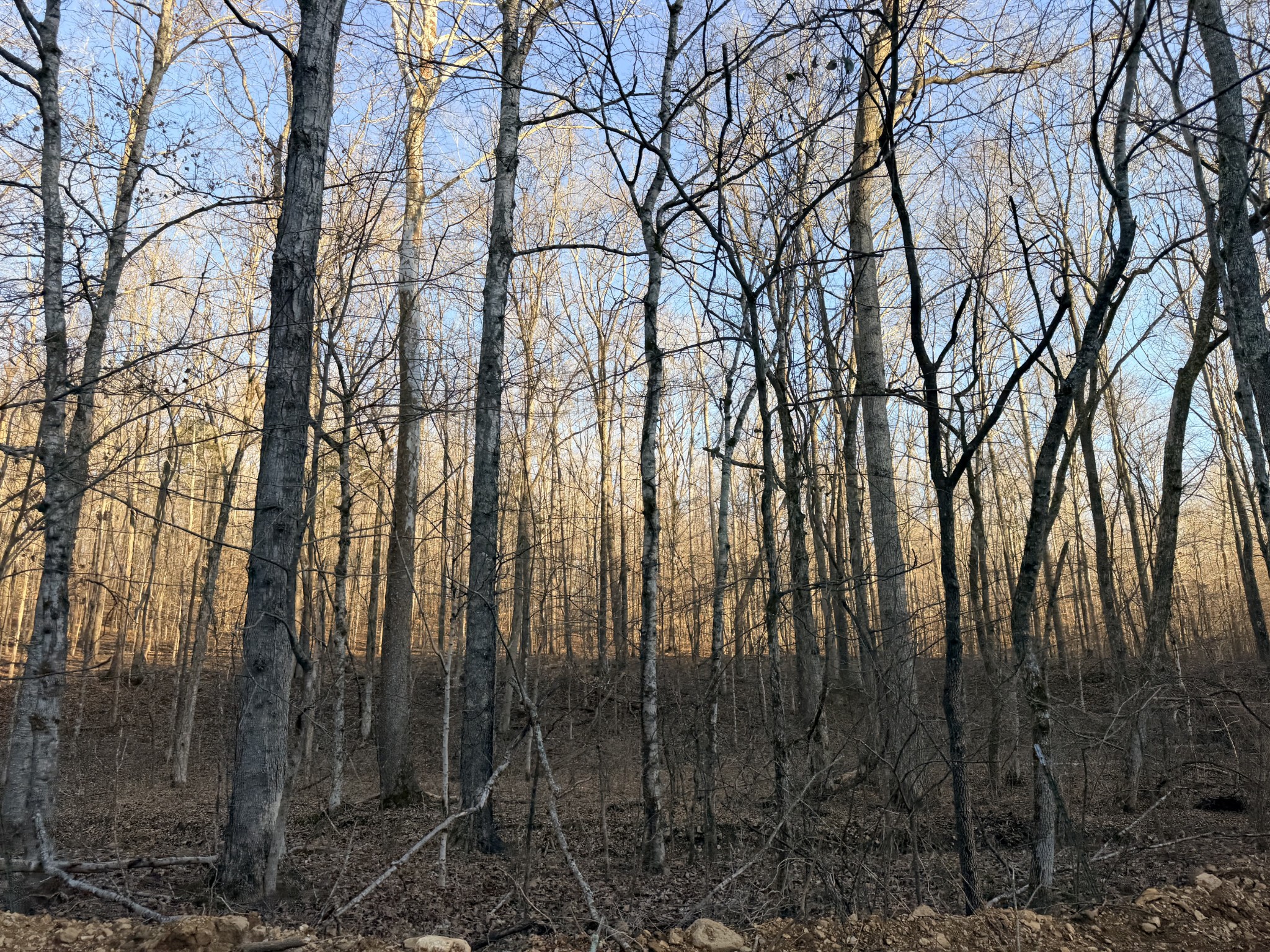 3 John Ross Hollow Road Erin, TN 37061 - Photo 27 of 31