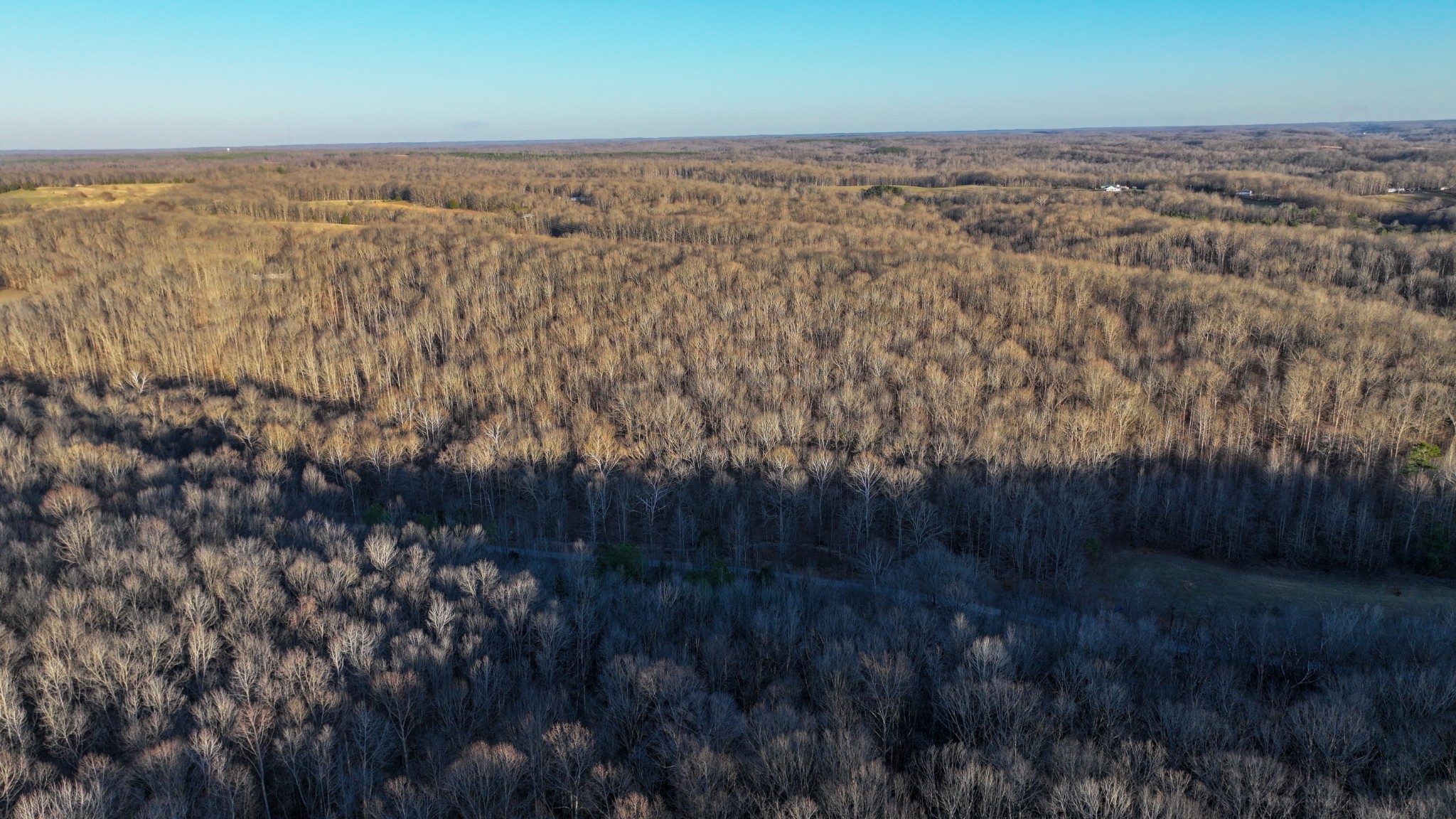 3 John Ross Hollow Road Erin, TN 37061 - Photo 29 of 31