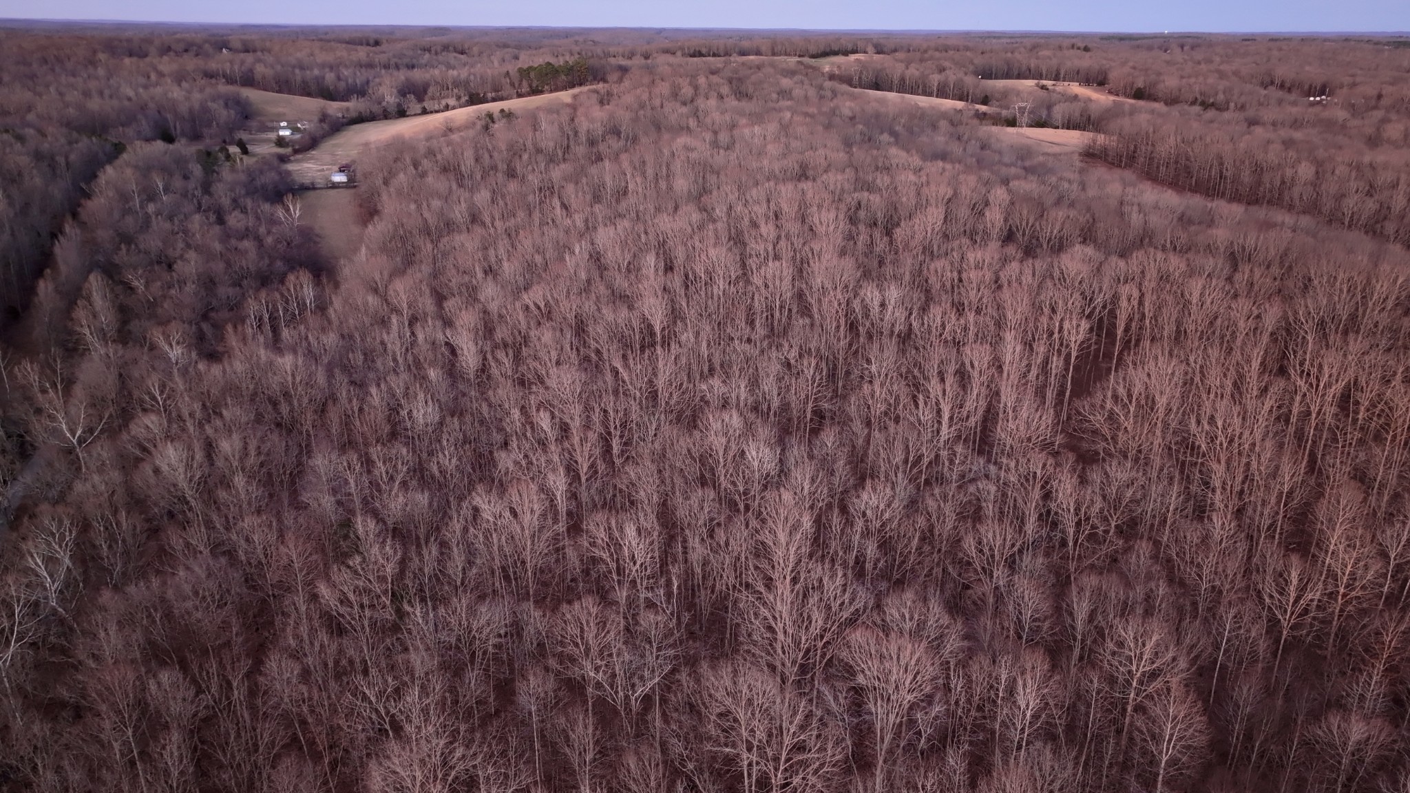 3 John Ross Hollow Road Erin, TN 37061 - Photo 8 of 31