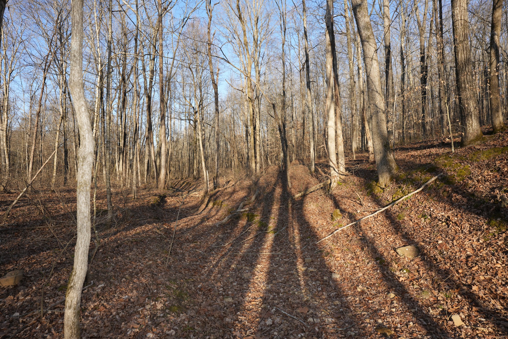 3 John Ross Hollow Road Erin, TN 37061 - Photo 9 of 31