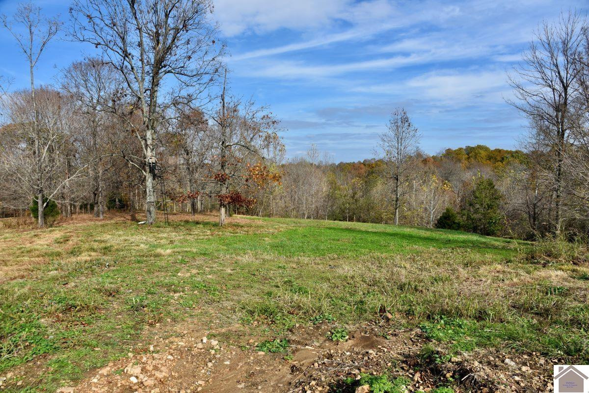 0 Goodsprings Road Fredonia, KY 42411 - Photo 15 of 33 Photo 15