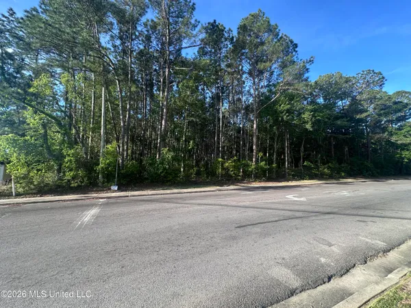 $100,000 | Martin Luther King Boulevard, Moss Point, MS 39563