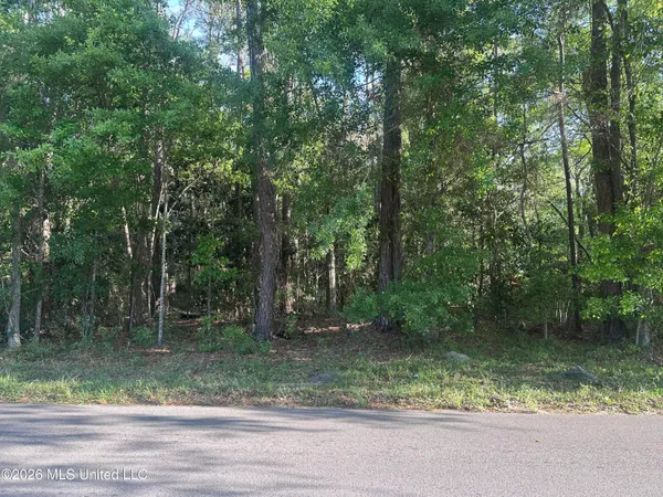 $100,000 | Martin Luther King Boulevard, Moss Point, MS 39563