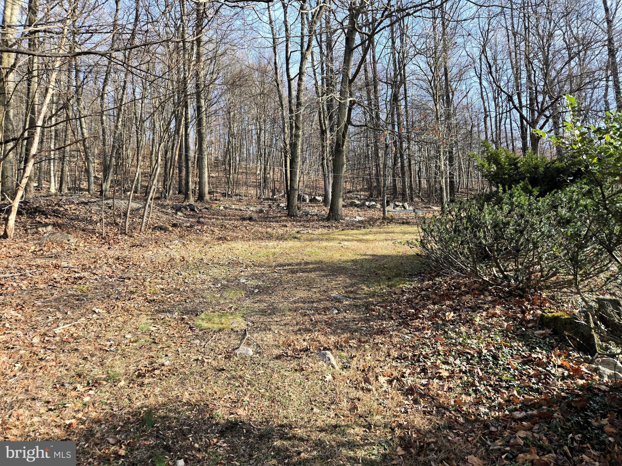 169 Dale Road Barto, PA 19504 - Photo 6 of 34 Back Yard