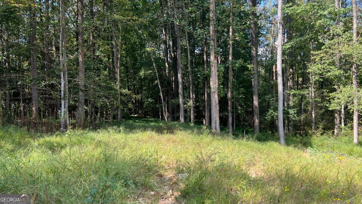 512 Level Creek Road Sugar Hill, GA 30518 - Photo 6 of 7 Gallery Image 6