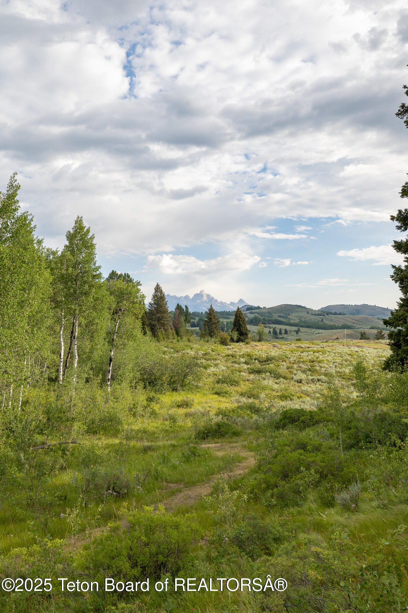 400 Red Tail Butte Road Jackson, WY 83001 - Photo 14 of 27 14