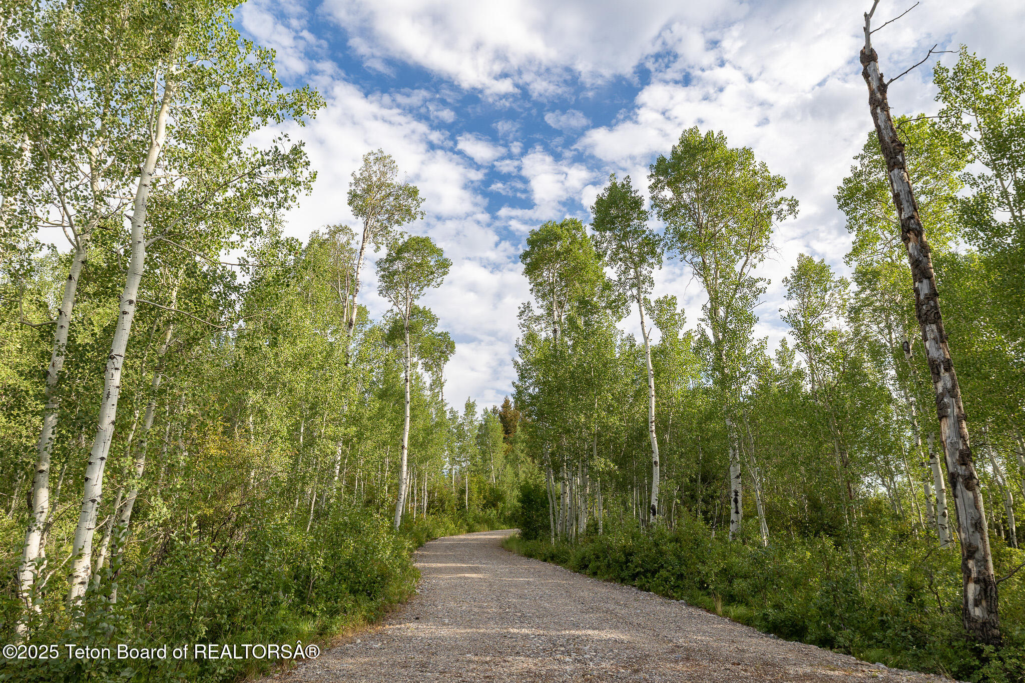 400 Red Tail Butte Road Jackson, WY 83001 - Photo 15 of 27 15