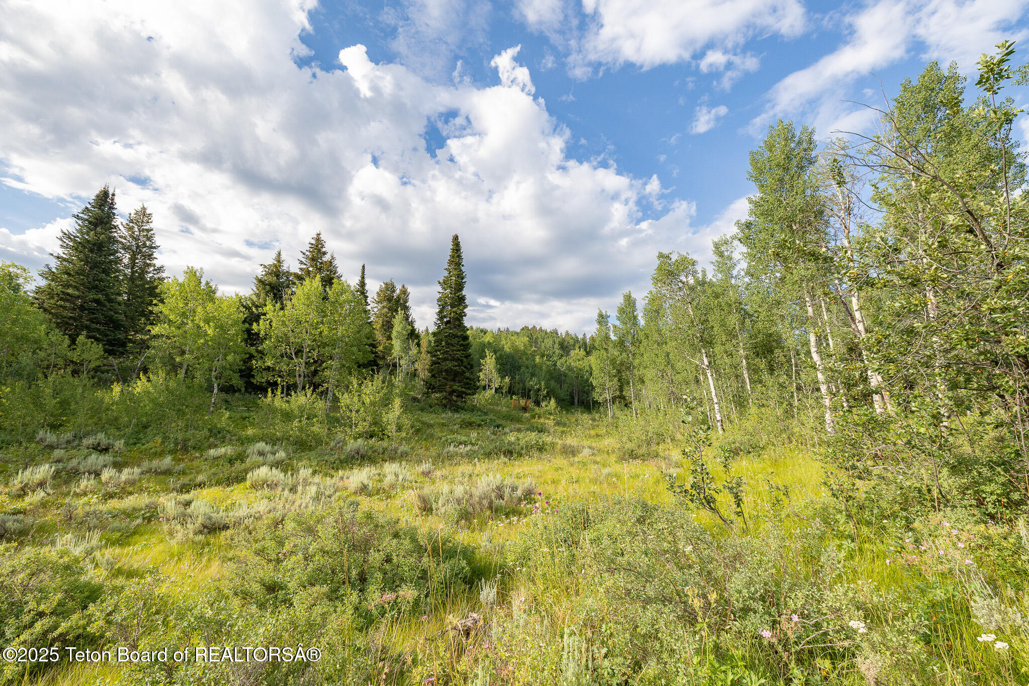 400 Red Tail Butte Road Jackson, WY 83001 - Photo 17 of 27 17