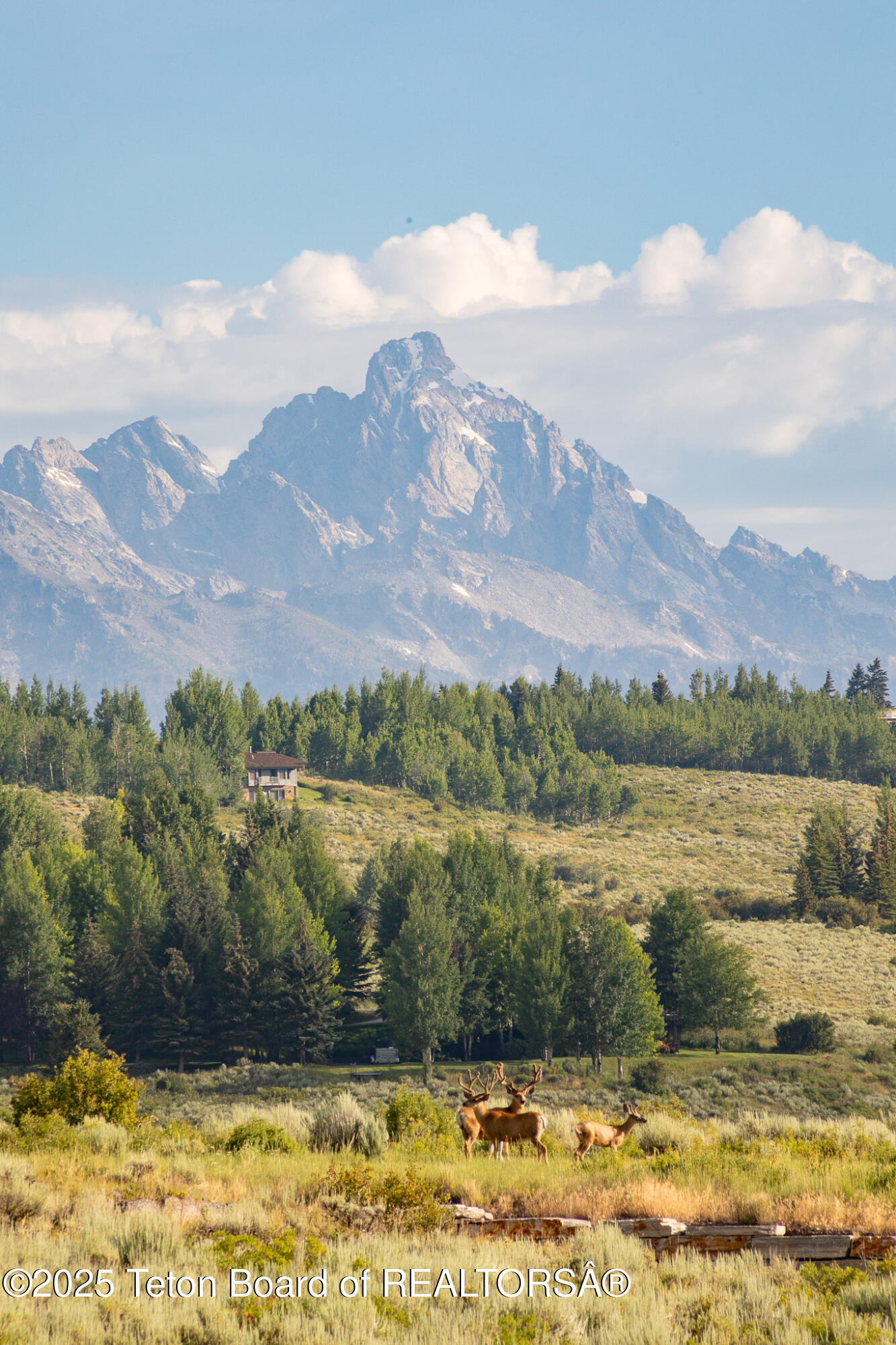 400 Red Tail Butte Road Jackson, WY 83001 - Photo 27 of 27 28