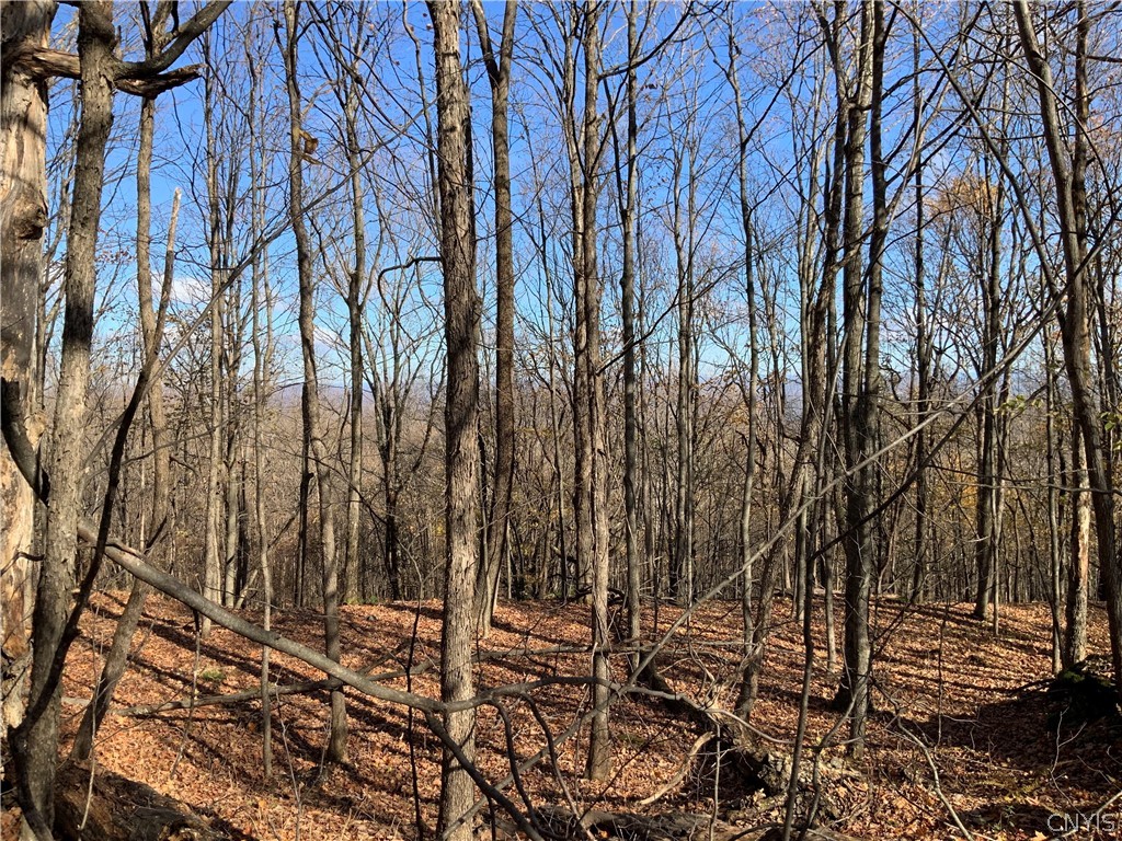 0 Diehl Road Mohawk, NY 13407 - Photo 23 of 49