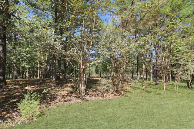 a view of outdoor space with trees all around