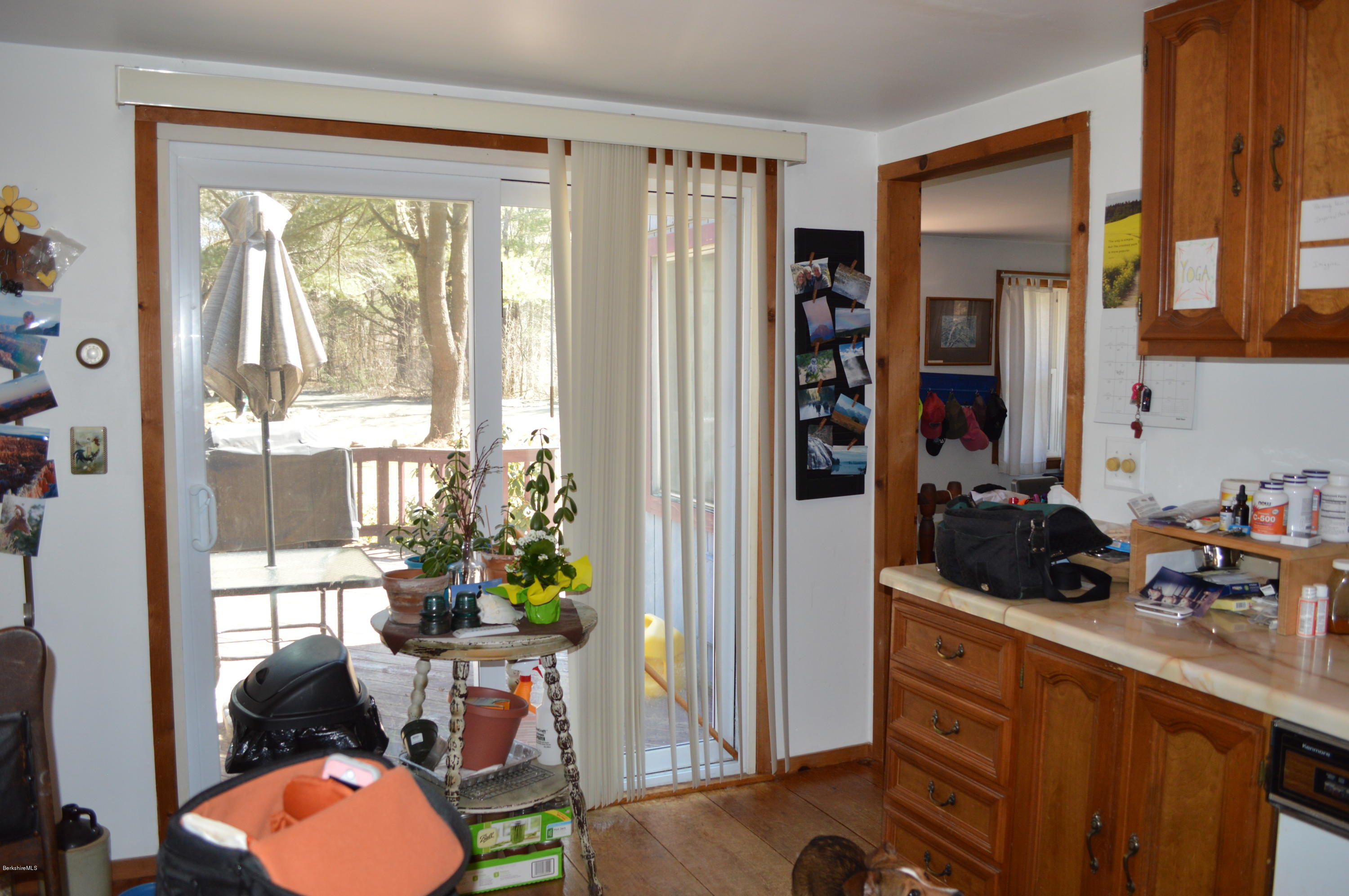 81 Peterson Road Becket, MA 01223 - Photo 17 of 24 a room with furniture and a potted plant
