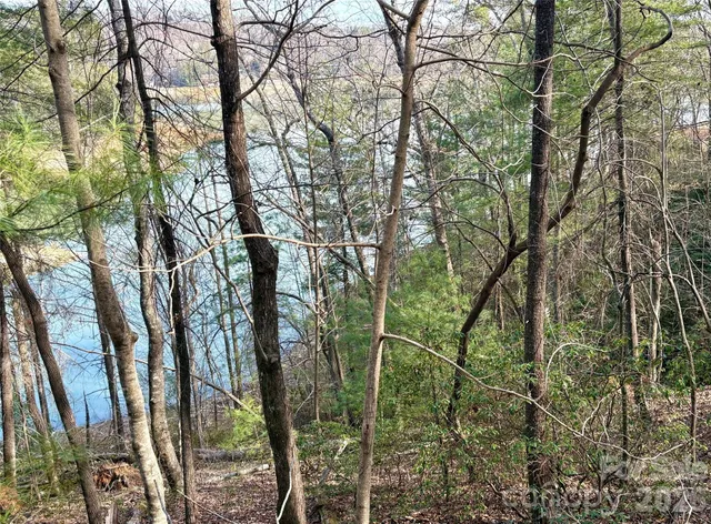 $75,000 | 0 Falls View Trail, Unit LOT 23A, Lake Lure, NC 28746