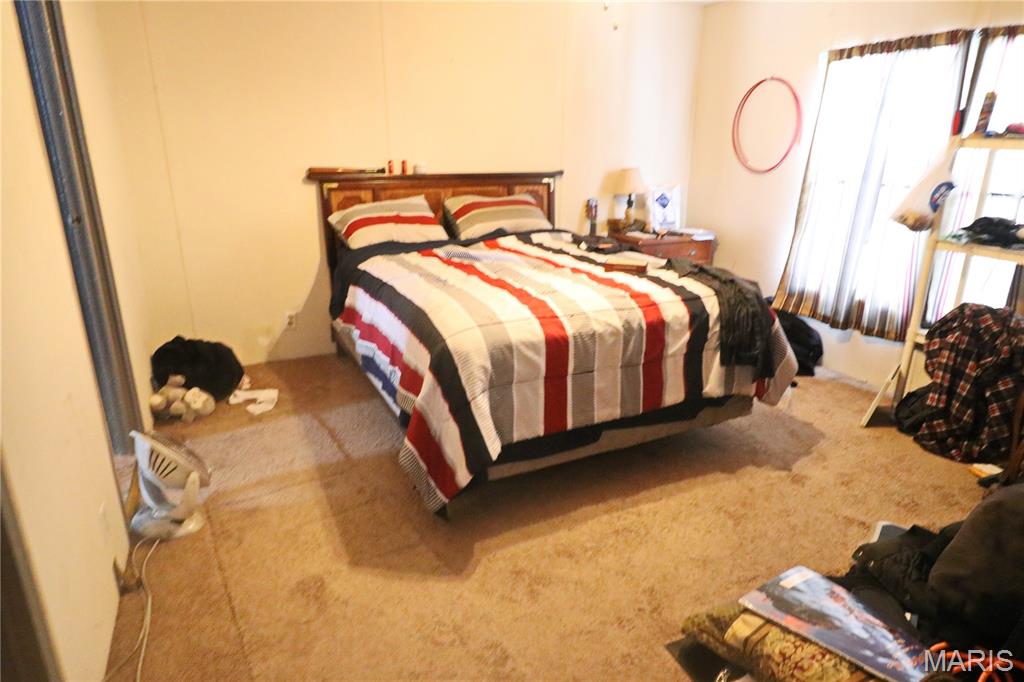 3582 Jarvis Road Hillsboro, MO 63050 - Photo 15 of 17