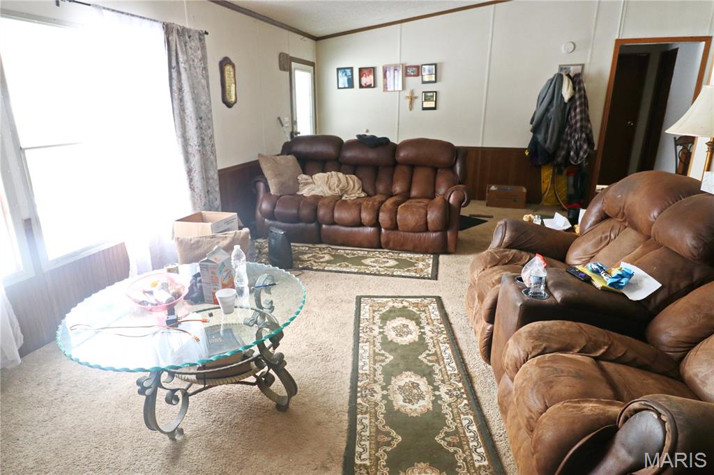 3582 Jarvis Road Hillsboro, MO 63050 - Photo 10 of 17