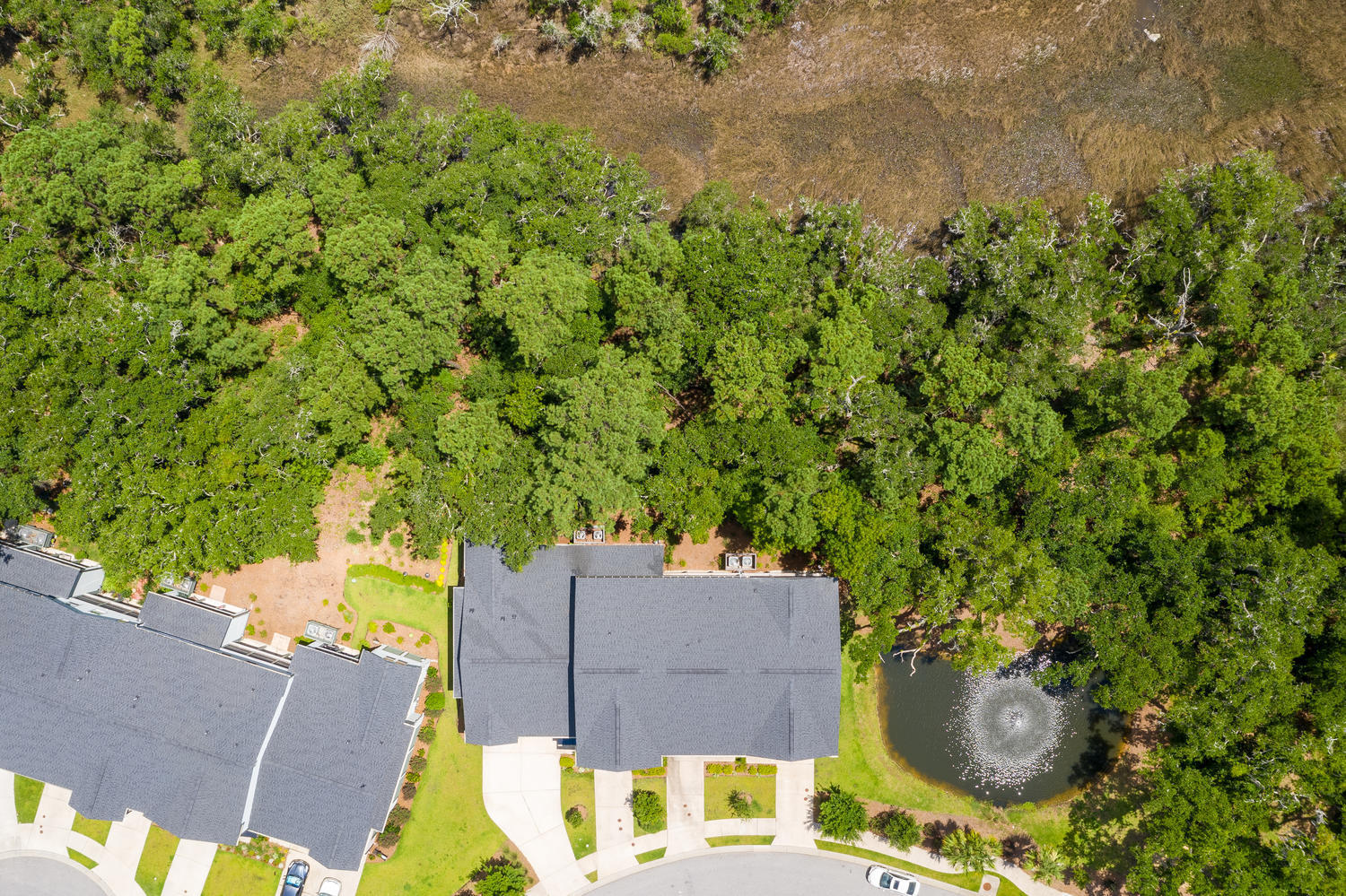 151 Slipper Shell Court Mount Pleasant, SC 29464 - Photo 31 of 42 Private Marsh Views