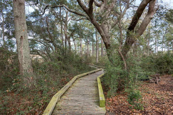 151 Slipper Shell Court Mount Pleasant, SC 29464 - Photo 36 of 42 Slipper Shell dock path