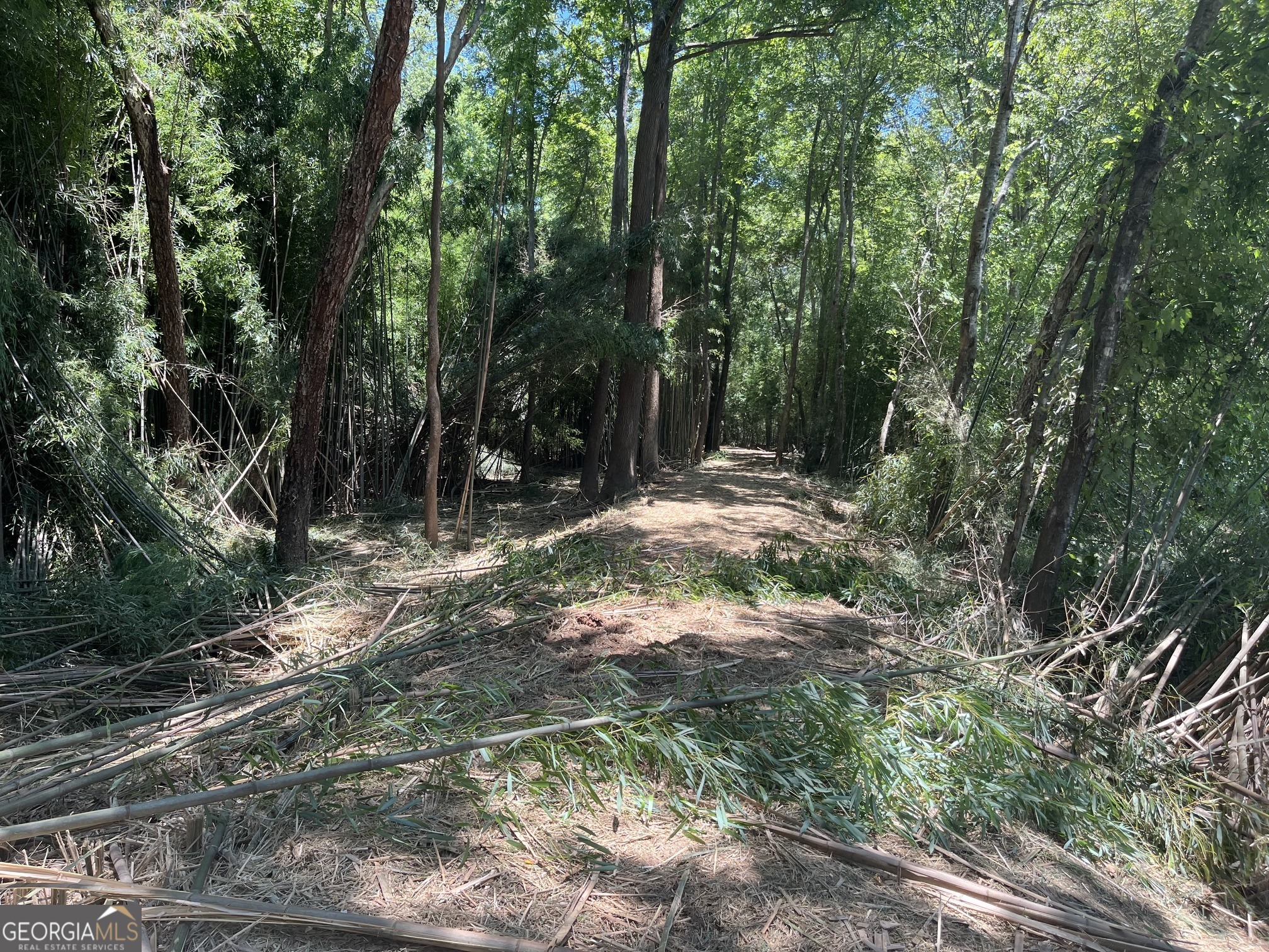 0 Sportsman Club Road Grantville, GA 30220 - Photo 43 of 46
