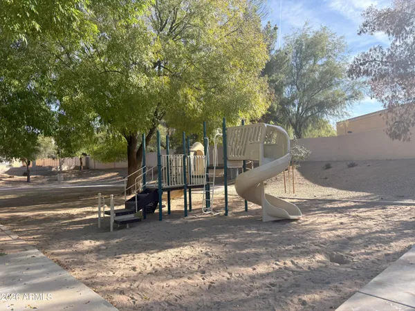 a view of a park with large trees
