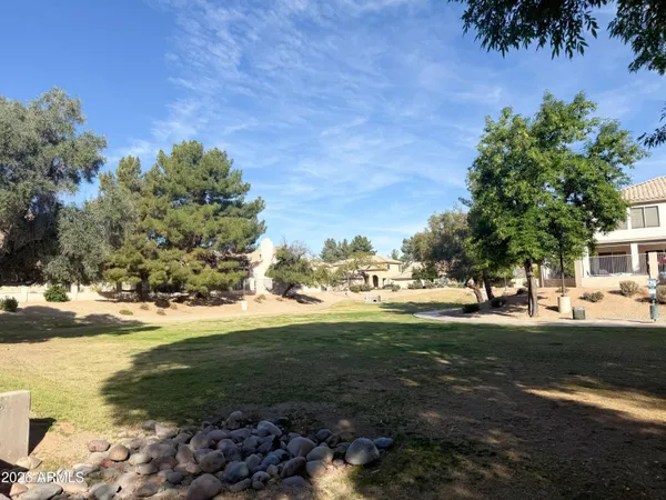 a view of a big yard with an trees
