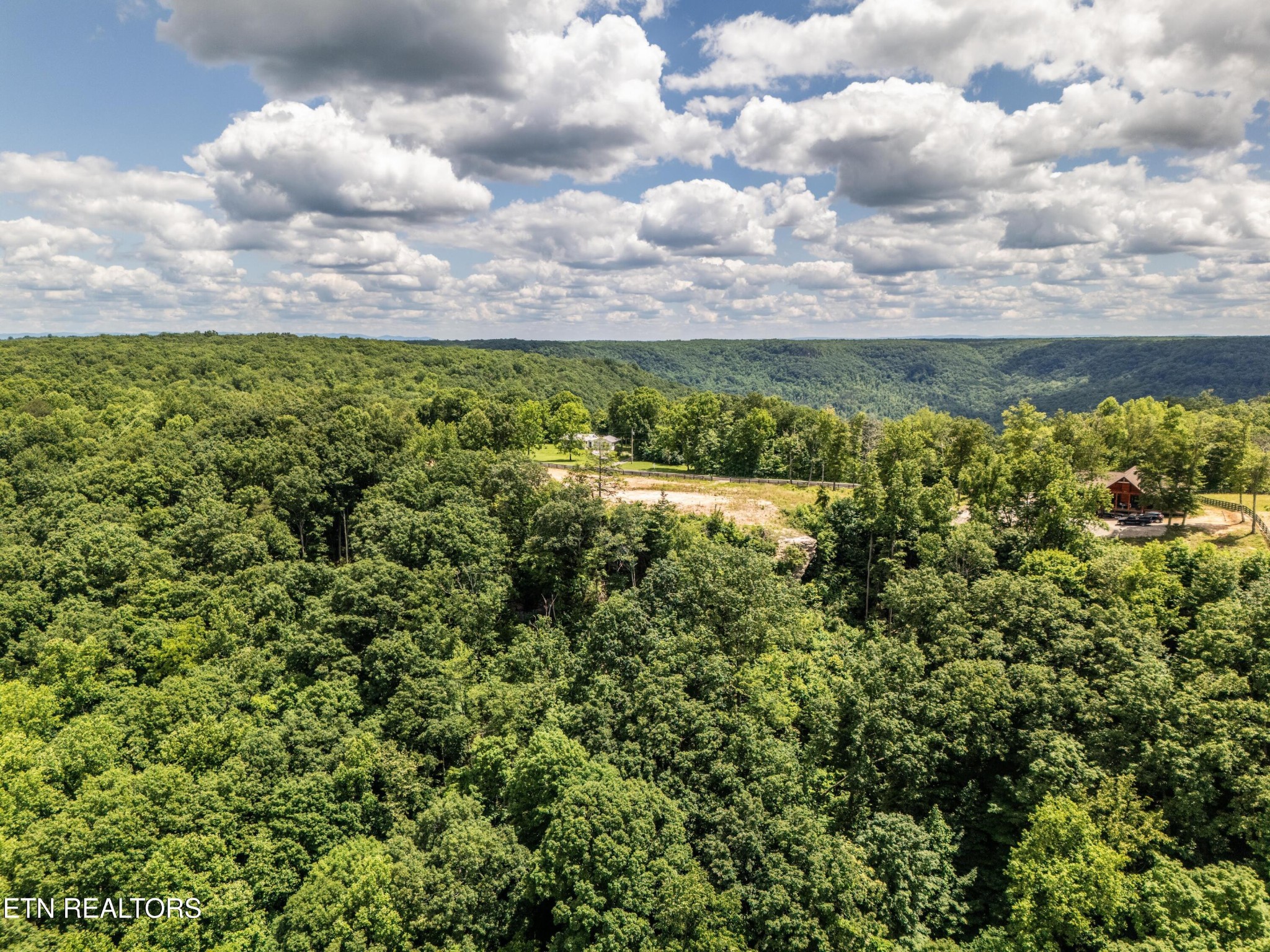 193 Glenobey Road Jamestown, TN 38556 - Photo 13 of 15 a view of a bunch of trees and bushes