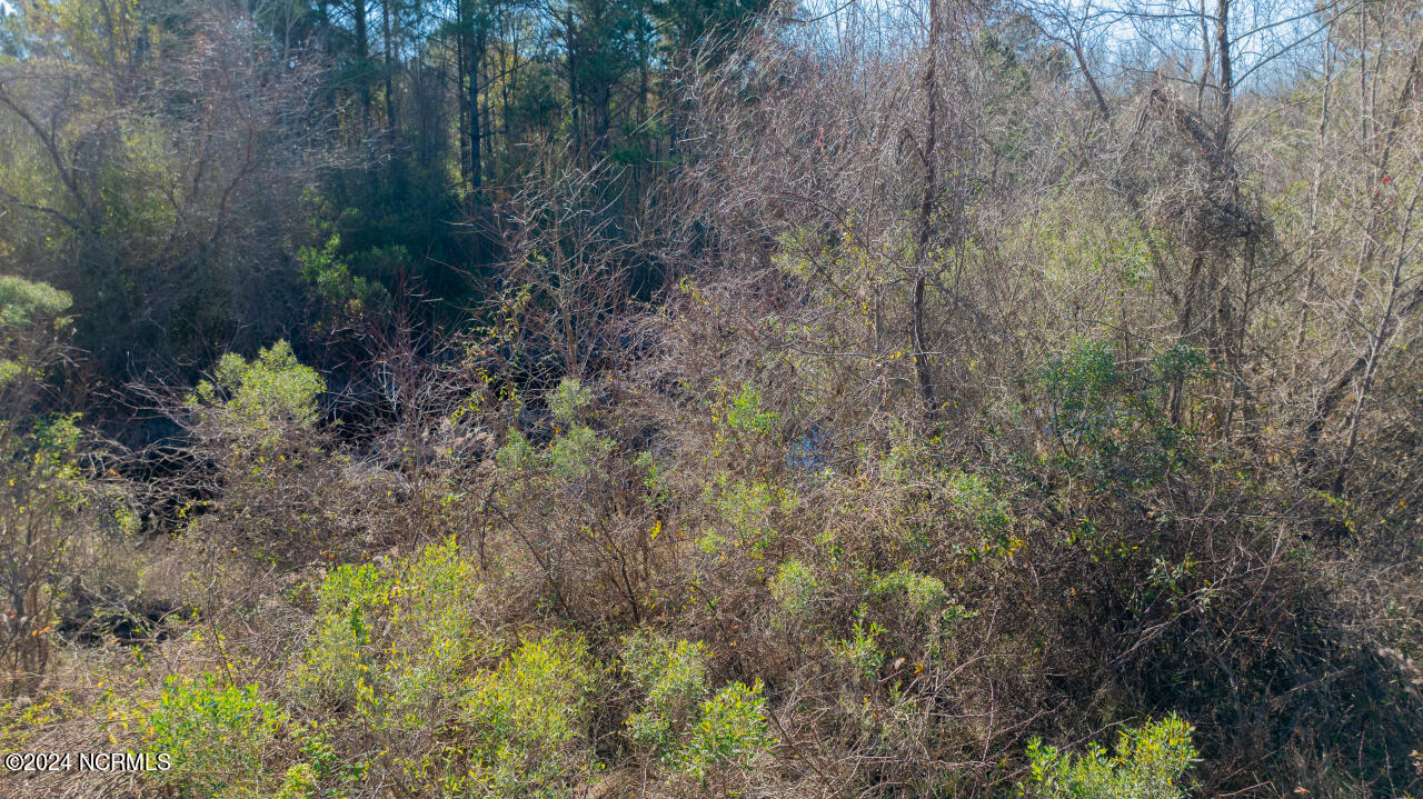 91 Rockfish Lake Road Maple Hill, NC 28454 - Photo 55 of 69 55
