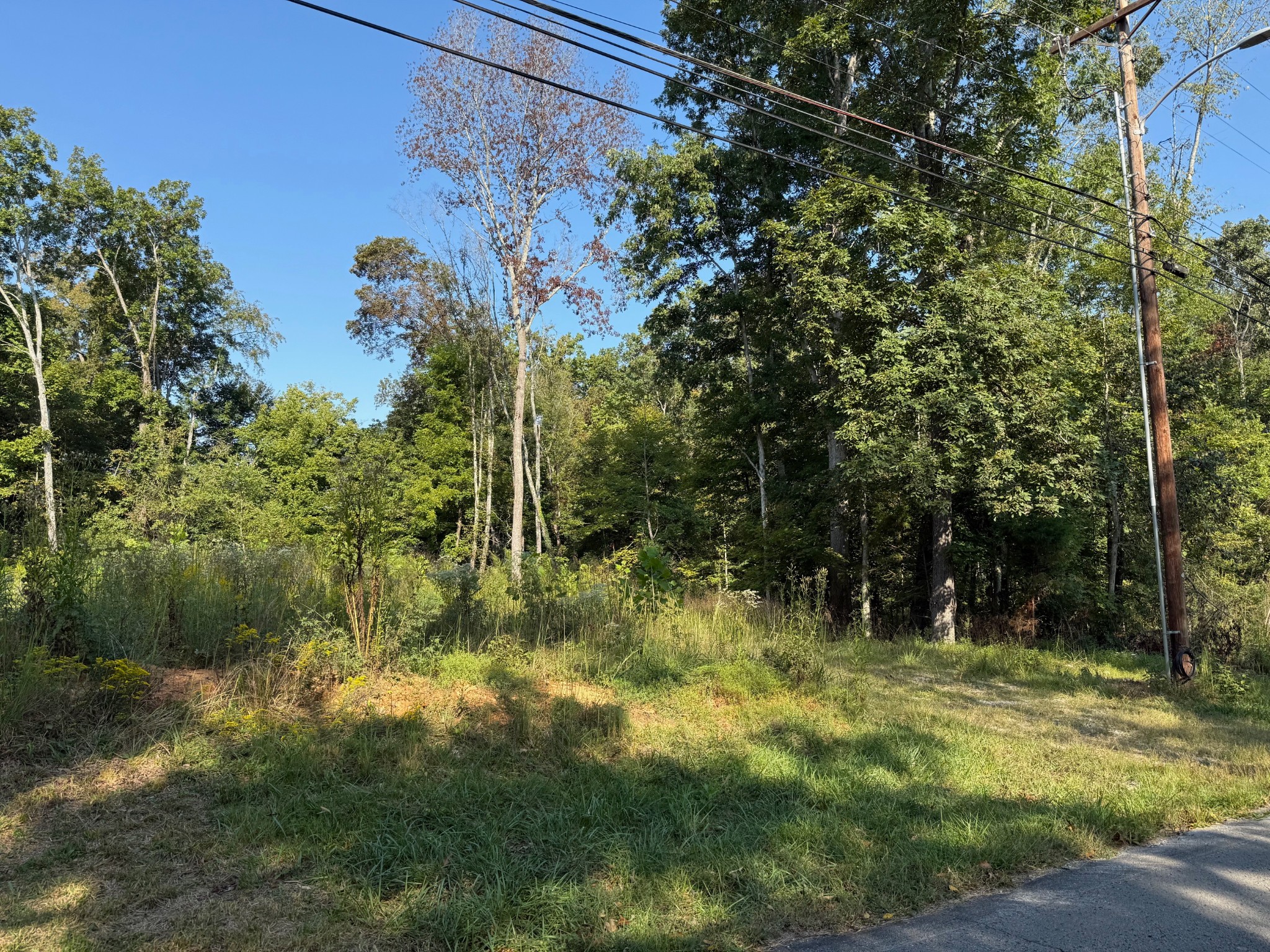 0 Ovoca Road Tullahoma, TN 37388 - Photo 2 of 6
