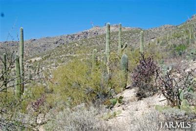 12265 East Coronado Road, Unit 46 Tucson, AZ 85749 - Photo 25 of 41