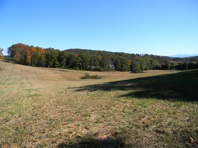 6 Parsonage Road White Pine, TN 37890 - Photo 2 of 5 Gallery Image 2