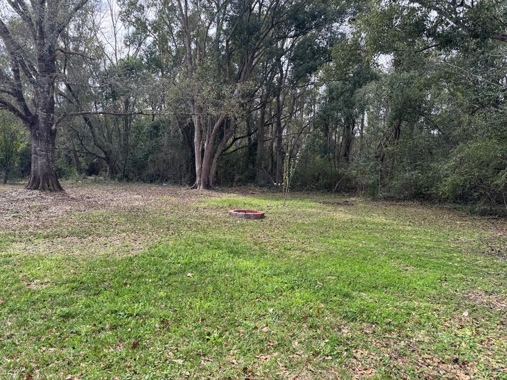 163 Gray Anderson Road Wewahitchka, FL 32465 - Photo 14 of 17