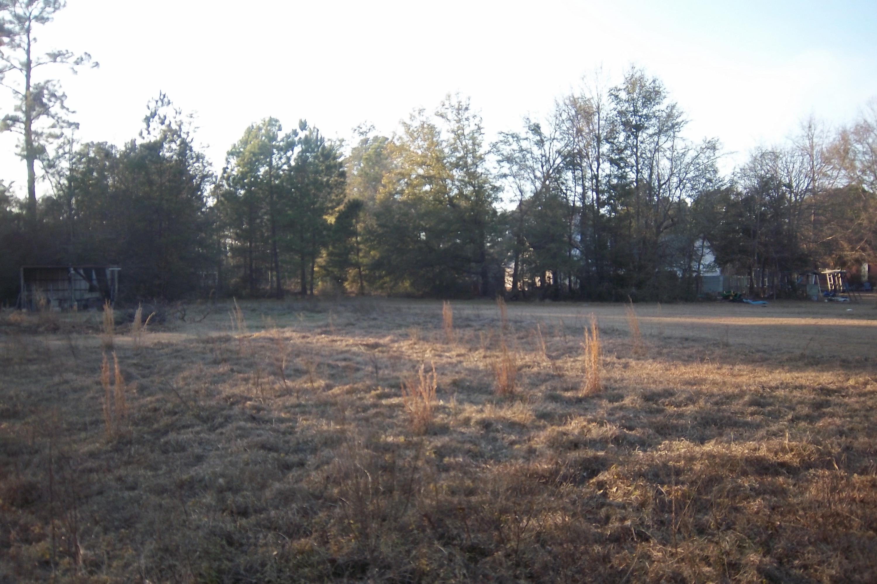 0 Bush Road Brunson, SC 29911 - Photo 1 of 6 Front