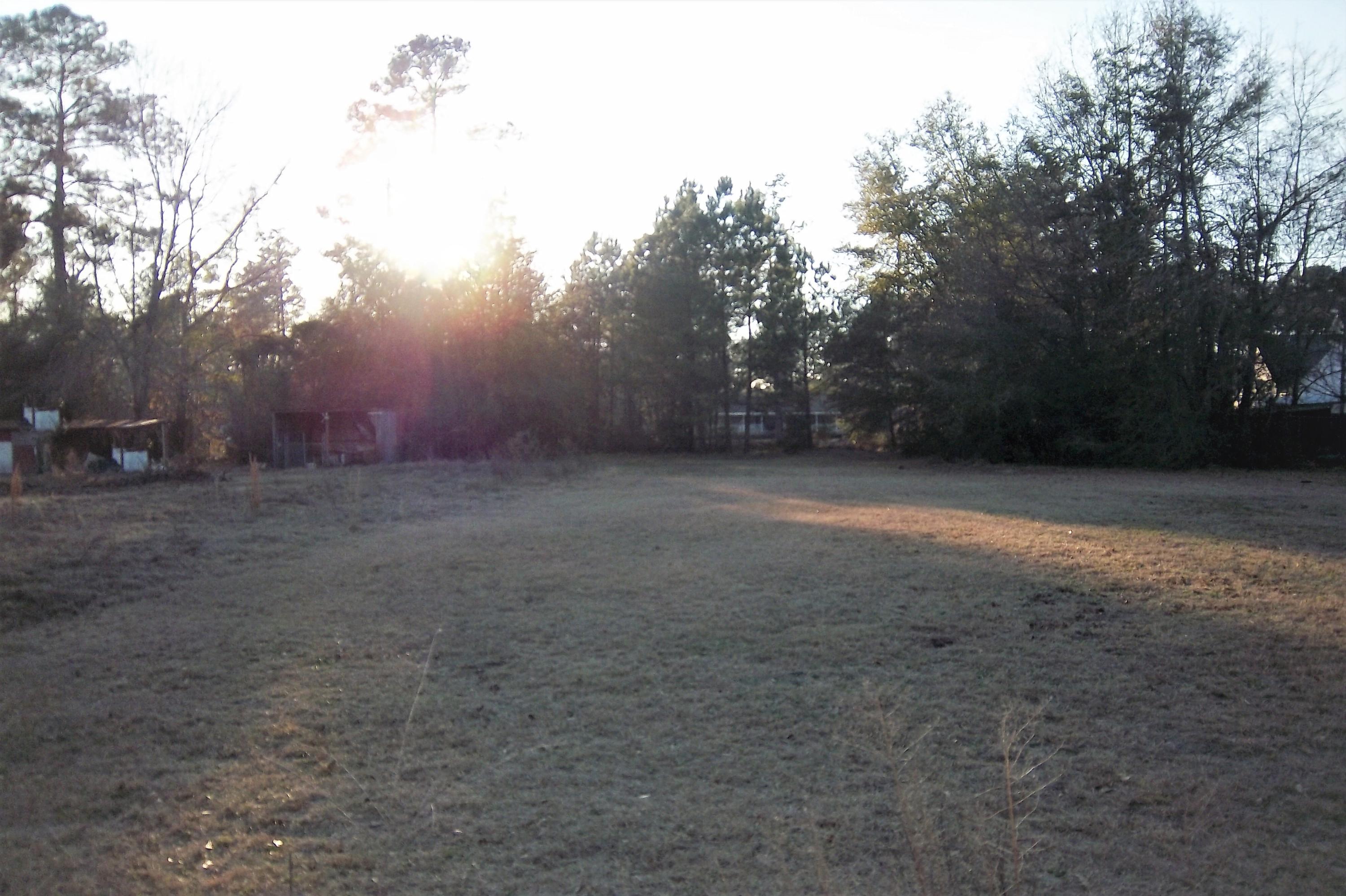 0 Bush Road Brunson, SC 29911 - Photo 2 of 6 view 2