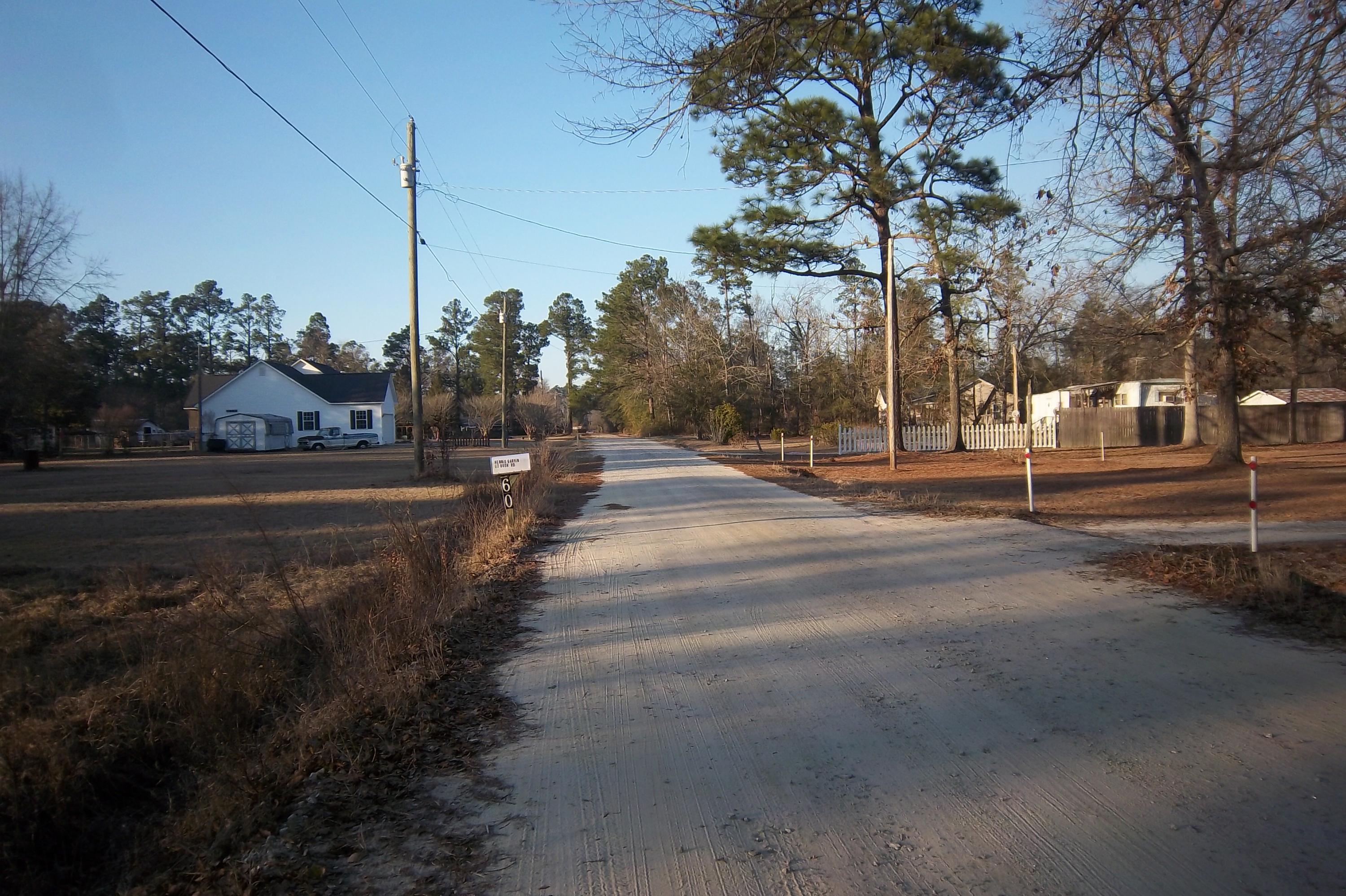 0 Bush Road Brunson, SC 29911 - Photo 3 of 6 Road View 2