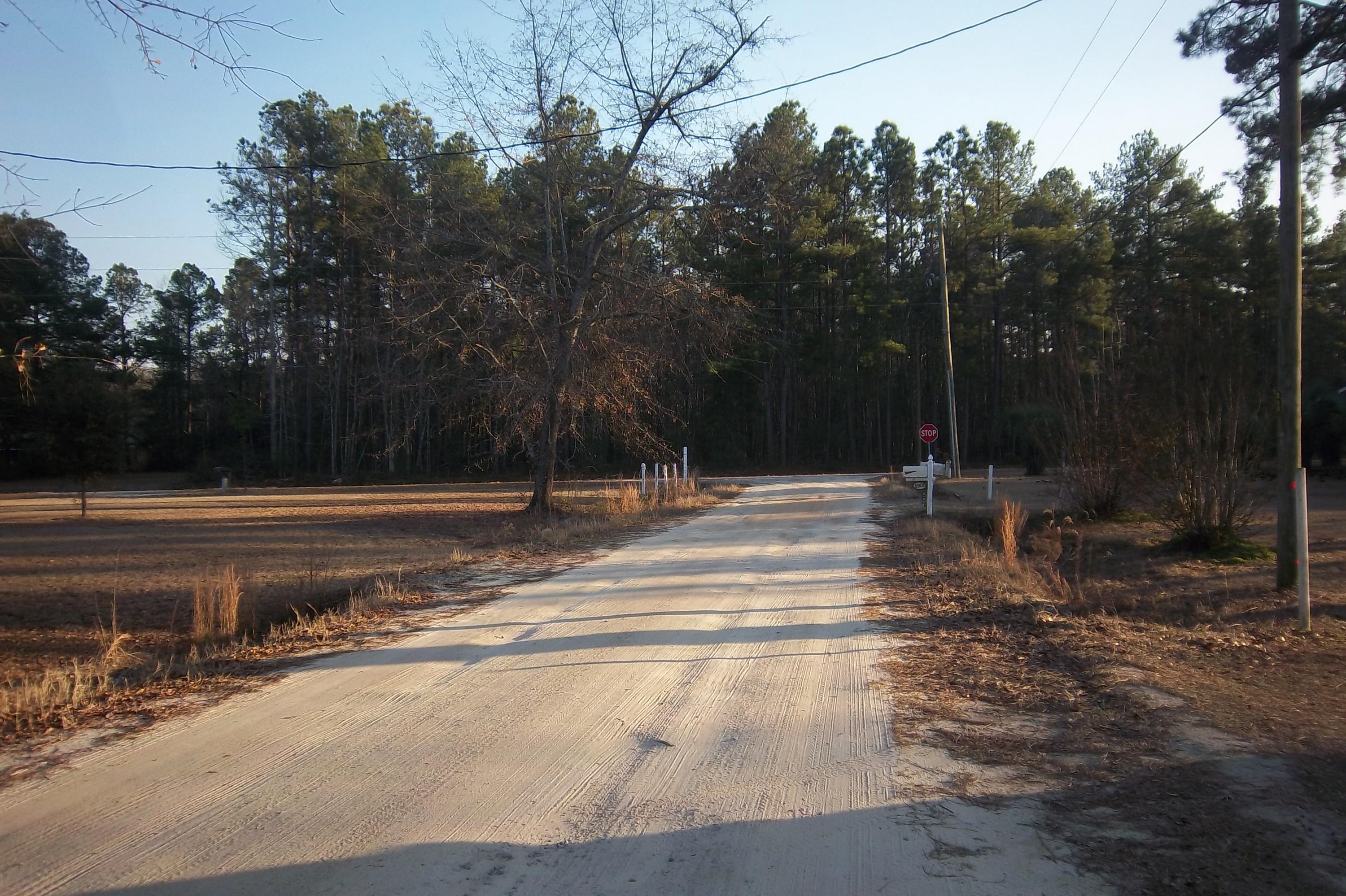 0 Bush Road Brunson, SC 29911 - Photo 4 of 6 Road View