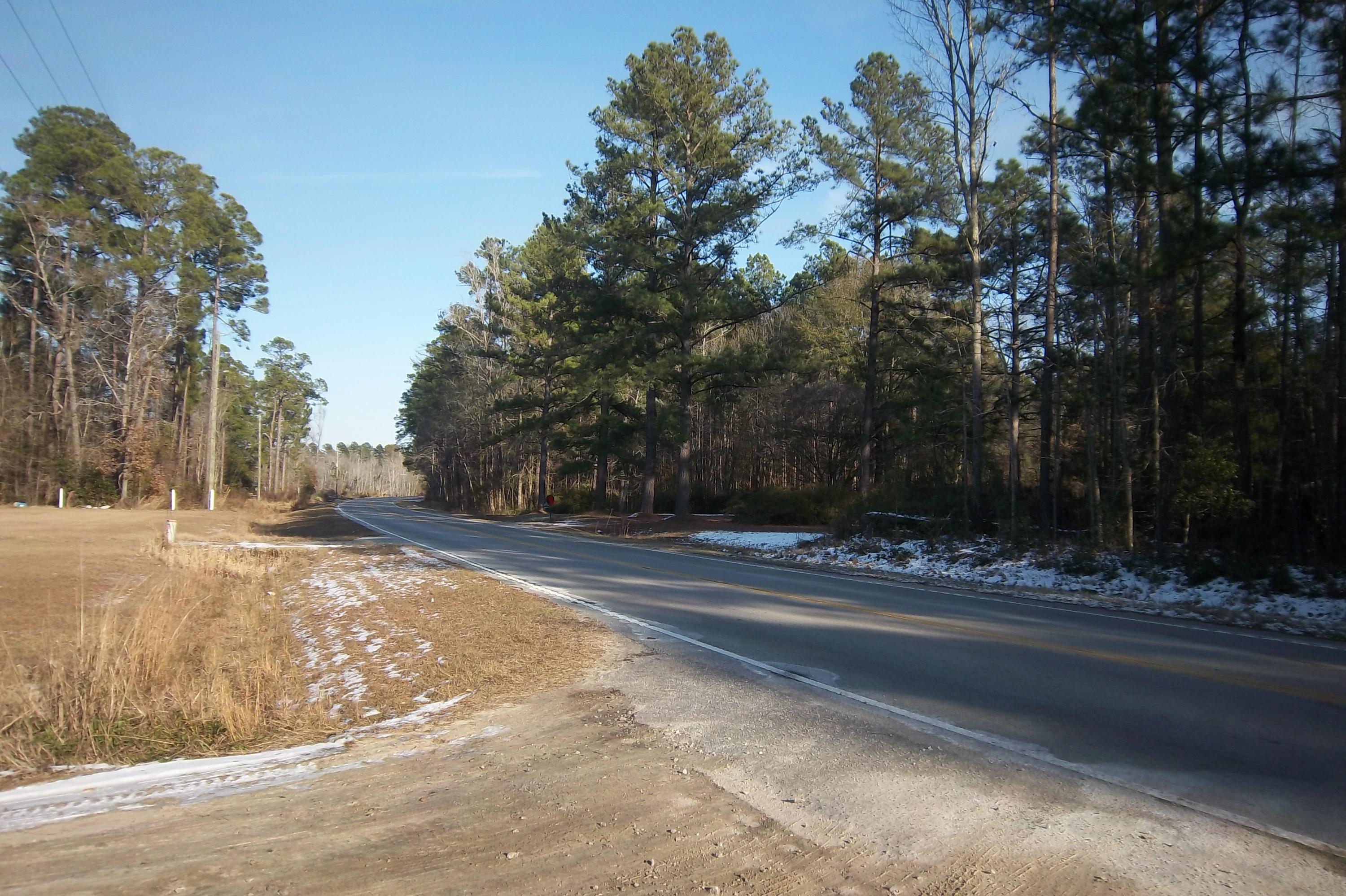 0 Bush Road Brunson, SC 29911 - Photo 5 of 6 Luray Hwy