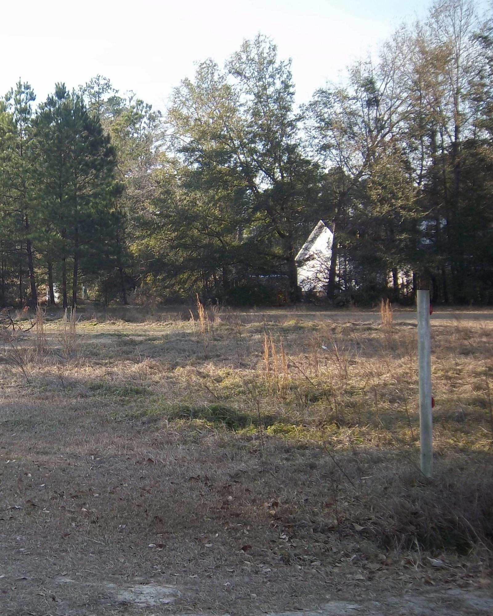 0 Bush Road Brunson, SC 29911 - Photo 6 of 6 View 3