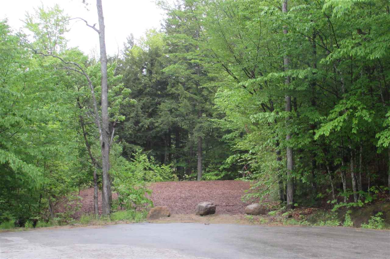 156 Pine Brook Road Jackson, NH 03846 - Photo 1 of 3 Gallery Image 1