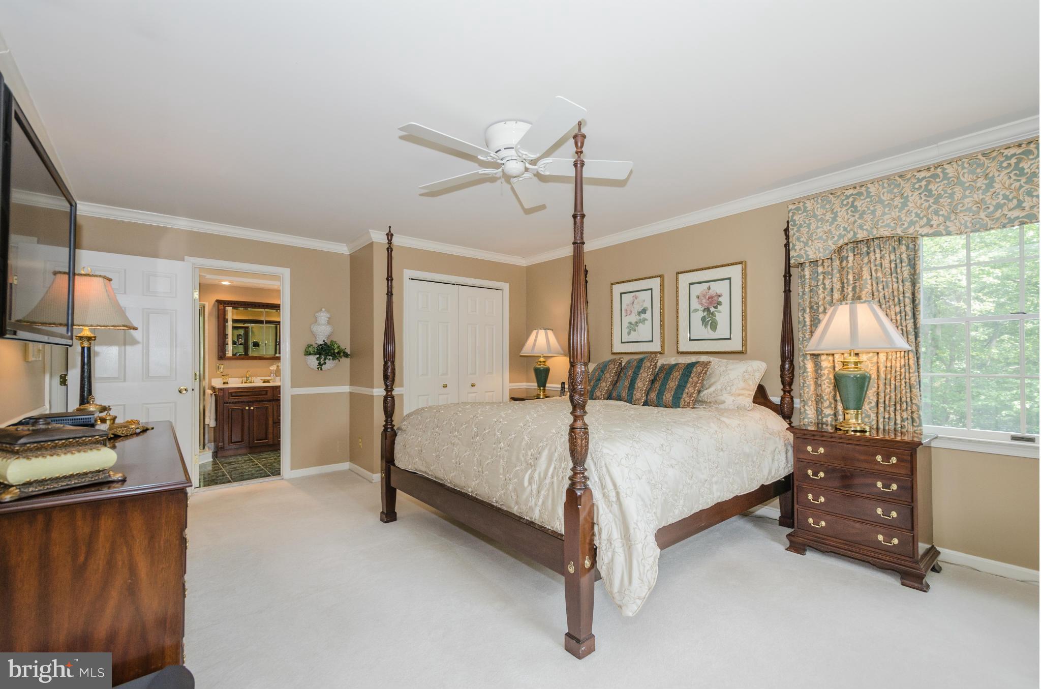14507 Old York Road Phoenix, MD 21131 - Photo 14 of 30 Master Bedroom w/Ensuite Bath