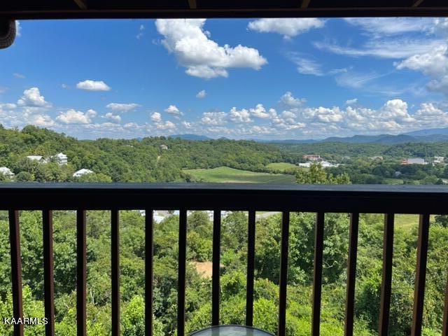 2044 Hickory Ridge Way, Unit 339 Sevierville, TN 37862 - Photo 18 of 19 IMG_3824