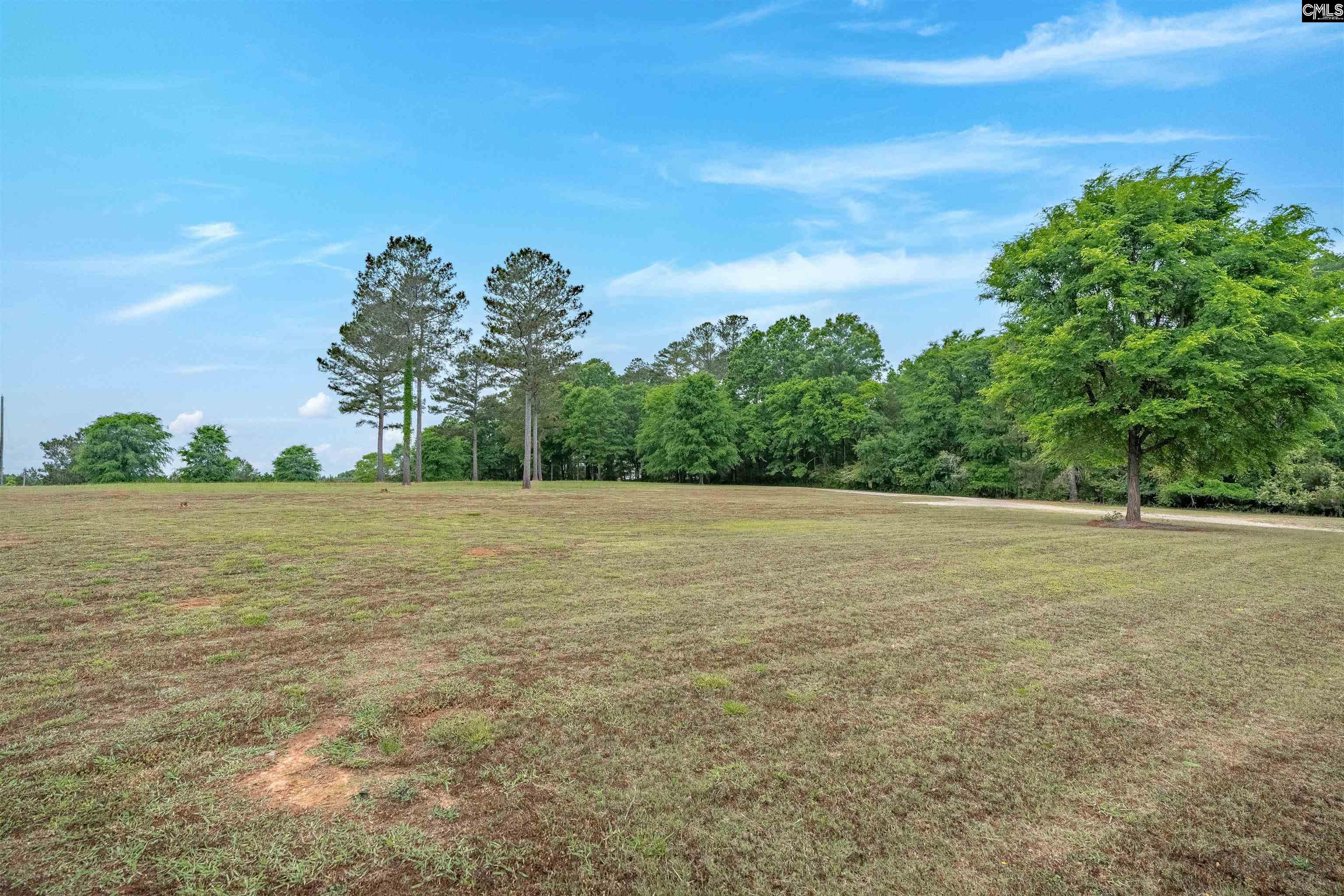262 Ira Kinard Road Prosperity, SC 29127 - Photo 49 of 63