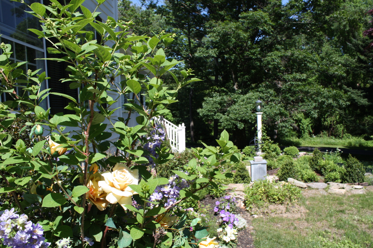 46 Interlaken Road Stockbridge, MA 01262 - Photo 34 of 37 Front Garden