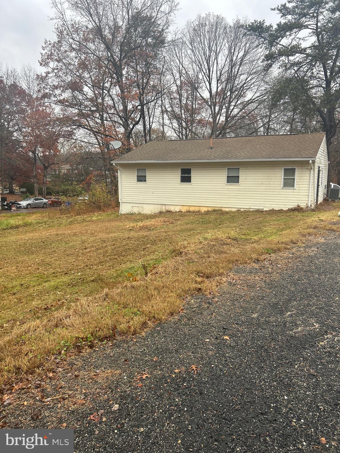 5393 Nelson Point Road Indian Head, MD 20640 - Photo 22 of 23 a large tree in the middle of a yard